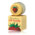 Fruit Flavored Lip Gloss 