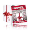 Surprise I Am The Present 