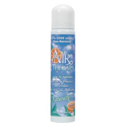 Air Therapy Spearmint Air Therapy - 4.6 oz