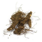 Starwest Botanicals Bloodroot Root Whole Wildcrafted - Sanguinaria canadensis, 1 lb