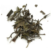 Starwest Botanicals Shu Mee White Tea - 1 lb