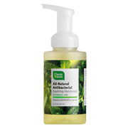 CleanWell Spearmint Lime Foam Hand Wash - 9.5 oz