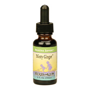 Herbs For Kids Minty Ginger Blend Alcohol Free - 1 oz
