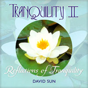 New World Music Compact Disc Relaxation Tranquility II - 1 pc