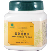 E-Fong Yang Yin Qing Fei Tang - Rehmannia & Scrophularia Combination, 100gm