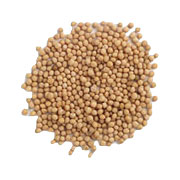 Frontier Mustard Seed Yellow Whole #1 Grade - 25 lb