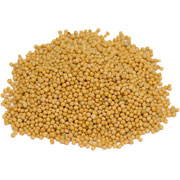 Frontier Mustard Seed Brown Whole, Certified Organic - 25 lb