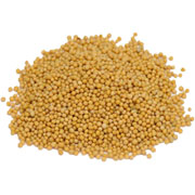 Frontier Mustard Seed Yellow Whole, Certified Organic - 25 lb