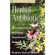 Starwest Botanicals Herbal Antibiotics -1 pc