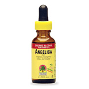 Nature's Answer Angelica Root Extract - Angelica archangelica, 1 oz