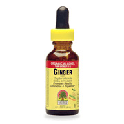 Nature's Answer Ginger Root Extract - Promotes Healthy Circulation And Digestion, 1 oz