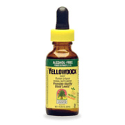 Nature's Answer Yellow Dock Alcohol Free Extract - 1 oz