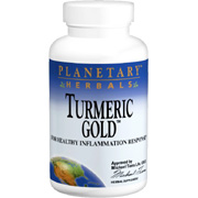 Planetary Herbals Turmeric Gold 500 mg - 120 tabs