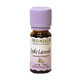 Lavender Spike Essential Oil - 