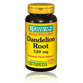 Dandelion Root 520mg - 