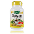 Digestion - 