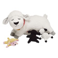 Nursing Nola Sheep - 
