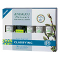 Get Started Clarifying Kit - 