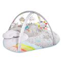 ACTIVITY GYM SILVER LINING CLOUD collection - 