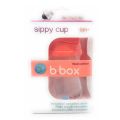 sippy cup watermelon - LIMITED EDITION - 