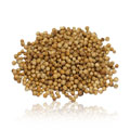 Coriander seed whole - 