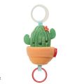 Farmstand Jitter Cactus - 