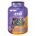 Mass Factor Vanilla - 