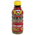 Mass Recovery Fruit Punch - 