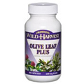 Olive Leaf Plus - 