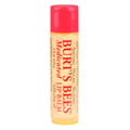 Medicated Lip Balm with Clove Tube 