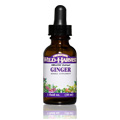 Ginger Organic Extracts - 