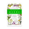 The Way of Herbs - 