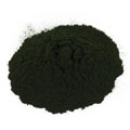 Chlorella Powder Taiwan Organic - 