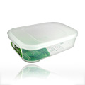 Inomata Ideal 1661 Food Container Rectangular L Shallow ID-601 - 
