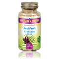 Acai Fruit Extract - 