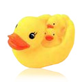 Floating Duck Family - 