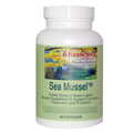 Sea Mussel 