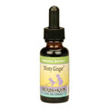Minty Ginger Blend Alcohol Free - 