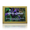 Set of FES Flower Cards Spanish - 