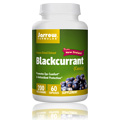 Black Currant Extract 200 mg - 