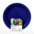 On The Go Plate Midnight Blue Large - 