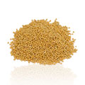 Mustard Seed Yellow Whole, Certified Organic - 