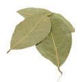 Bay Leaf Whole Select Grade - 