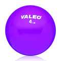 Weighted Fitness Ball - 