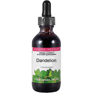 Dandelion - 