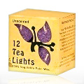 Violet Unscented Tea Lights With Holder - 
