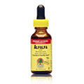 Alfalfa Herb Extract - 