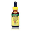 Echinacea Alcohol Free Extract - 
