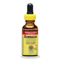 Echinacea Root Extract - 