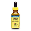 Echinacea Goldenseal Alcohol Free Extract - 
